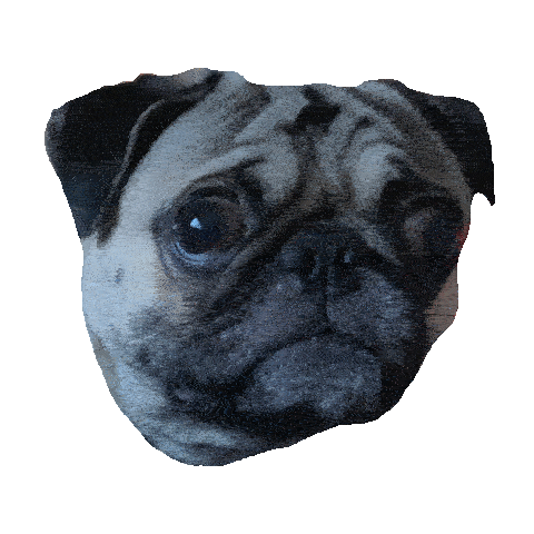 AWEMINUSMUSIC giphyupload bass pug dubstep Sticker