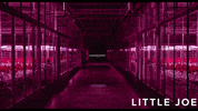 Unsettling Ben Whishaw GIF by Magnolia Pictures