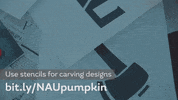 Naupumpkin GIF by NAU Social