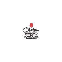 domainesvinsmoselle logo wine luxembourg letzebuerg Sticker