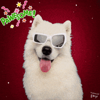 Glasses Wow GIF