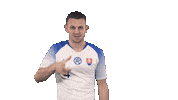 Slovakia Vavro Sticker by Slovensky futbalovy zvaz