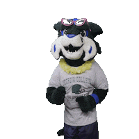 Thunder Bobcats Sticker by Georgia College