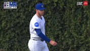 Chicago Cubs Baseball GIF