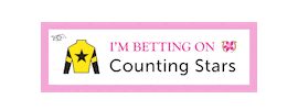Horse Racing Sticker by Kentucky Derby