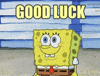 SpongeBob gif. Spongebob grins with wide eyes, looking forward and repeatedly raising a hand with a thumbs up. Text, "Good Luck."