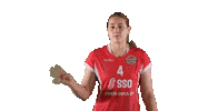 Sport Volleyball Sticker by LP Viesti