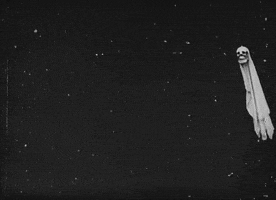 skull credits? GIF by The NGB