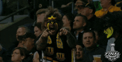Ice Hockey Sport GIF by NHL