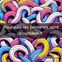 Gravité GIF by ExpliquePourquoi.com