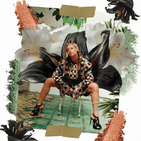 fashion beyonce GIF