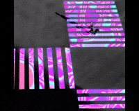 evelingsalazar animation pink trippy colorful GIF