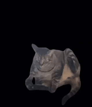 jett_fighter  GIF