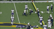 National Football League GIF by NFL