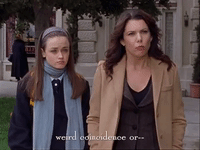 season 3 netflix GIF by Gilmore Girls 