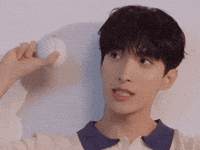 Dk 세븐틴 GIF