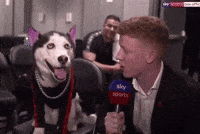 Dog What GIF by SWAGGY WOLFDOG