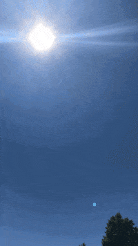 Midd GIF by Middlebury