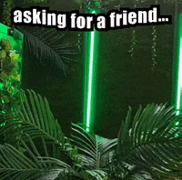 Not Me Oops GIF by Crissy Conner