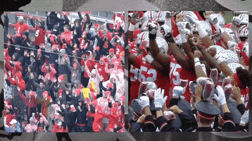 Ohio State Fans GIF by Ohio State Athletics