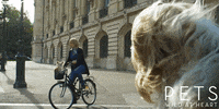 bbc one dog GIF by BBC