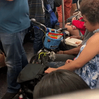 Man Feeds Rat Take-Out on New York Subway