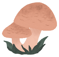 Indonesia Forest Sticker by Hutanituindonesia