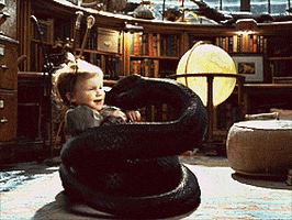 a series of unfortunate events incredibly deadly viper GIF