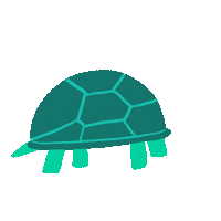 Turtle Hello Sticker