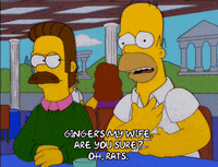 homer simpson episode 10 GIF