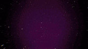 FallGuysGame gaming retro space neon GIF