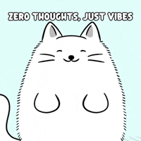 Happy White Cat GIF by MESA My Emotional Support Animal