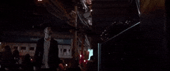 robin_schulz  GIF