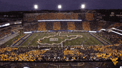 college football GIF by WestVirginiaU