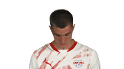 Look Up Rb Leipzig Sticker by Bundesliga