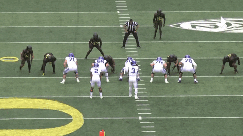 sletizia14 giphyupload cfcbears blakefreeland GIF