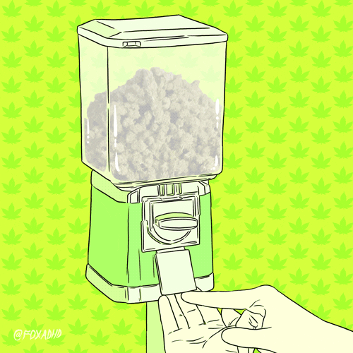 Art Blaze It GIF by Animation Domination High-Def