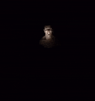 moth pit GIF