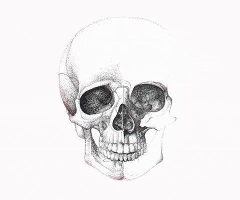 kalinpoirier giphyupload GIF