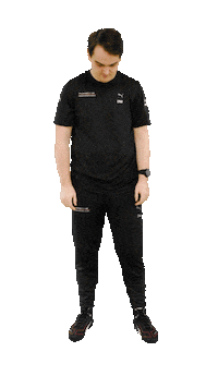 Porsche Coanda Esports Racing Team Sticker by Porsche 