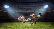 Football Soccer GIF