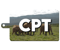 National Park Safari Sticker by Fernreisehelden