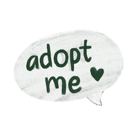 Adopt Me Stray Dog Sticker by Tierra de Animales