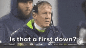 Is That Seattle Seahawks GIF by NFL