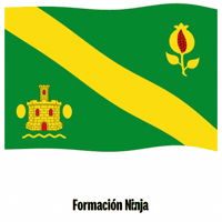 Flag Spain GIF by Formación Ninja