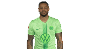 Germany Football Sticker by VfL Wolfsburg