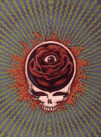 Grateful Dead Today GIF