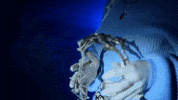 Nina Bode GIF by NETFLIX