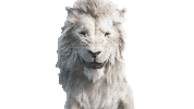 Scared The Lion King Sticker by Walt Disney Studios
