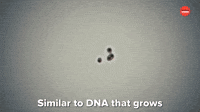 Scientific Proof That Santa Exists